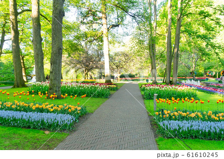 Formal spring garden 61610245