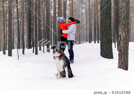 border collie dog sitting in the winter forest on 61610586