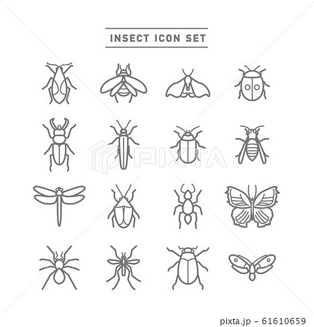 INSECT ICON SET 61610659