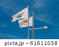 The flag of Agia Napa municipality and the flag of Cyprus. Flags on the flagpole and the stereet lamp post. The wind inflates the flag. 61611038