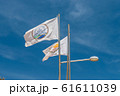 The flag of Agia Napa municipality and the flag of Cyprus. Flags on the flagpole and the stereet lamp post. The wind inflates the flag. 61611039