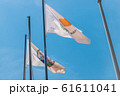 The national flag of Cyprus. Light flag on the flagpole. The summer wind flutters the flag. 61611041
