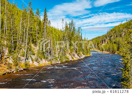 Yellowstone National Park - madison River Yellowstone National Park - madison River 61611278