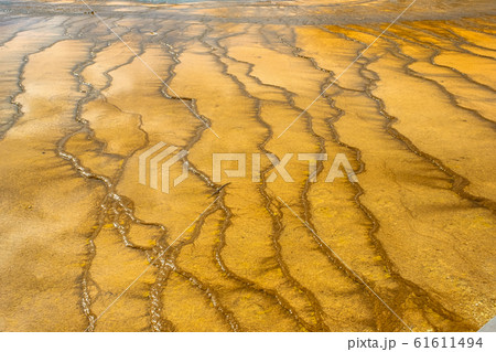 Colorful bands of thermophilic bacteria in 61611494