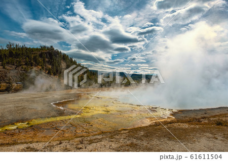 Yellowstone National Park in Wyoming 61611504