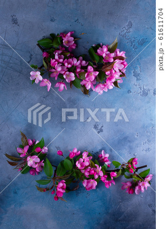 Spring tree flowers Spring tree flowers 61611704