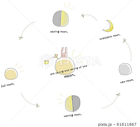 月の満ち欠け 英語のイラスト素材