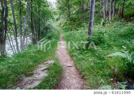 Hiking for health in Italian alps landscape 61611990