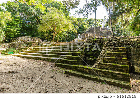 Lamanai archaeological reserve mayan ruins in Lamanai archaeological reserve mayan ruins in 61612919
