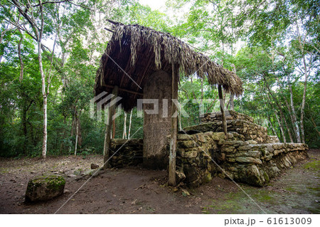 Ancient mayan pyramids Nohoch Mul in Coba Ancient mayan pyramids Nohoch Mul in Coba 61613009