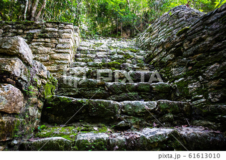 Ancient mayan pyramids Nohoch Mul in Coba Ancient mayan pyramids Nohoch Mul in Coba 61613010
