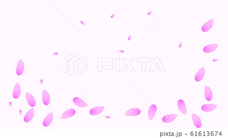 下に集まるかわいい桜の花びら背景素材 3dレンダリングのイラスト素材