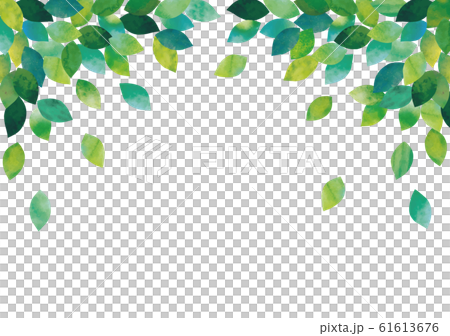 葉っぱ水彩フレーム 葉っぱ水彩フレーム 61613676