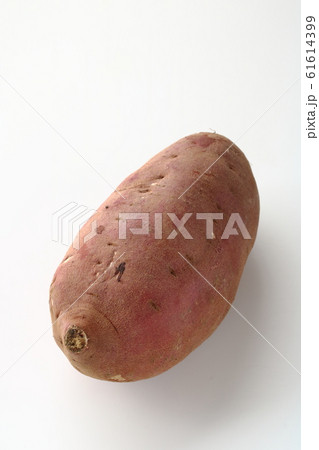 紅あずま 紅あずま 61614399