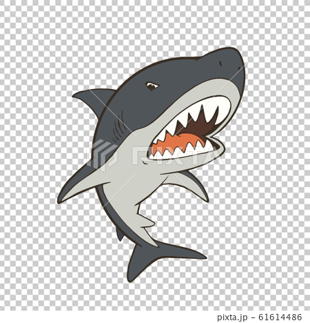 鋭い歯を見せるクールなサメのキャラクターイラストのイラスト素材