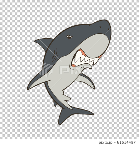 鋭い歯を見せるクールなサメのキャラクターイラストのイラスト素材