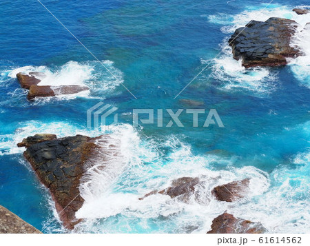 与那国島（東崎） 61614562