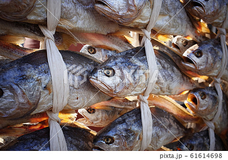 イシモチ 乾燥 魚の写真素材 イシモチ 乾燥 魚の写真素材