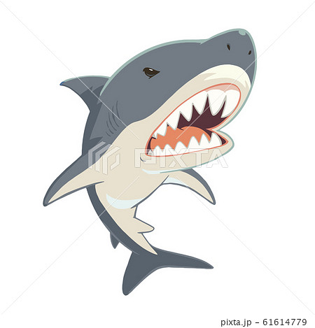 Cool Shark Character Illustration With Sharp Teeth Stock Illustration