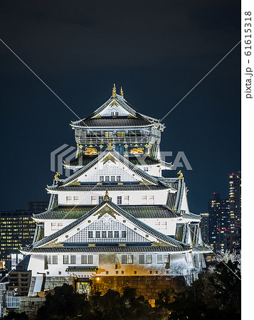大阪城の夜景 61615318