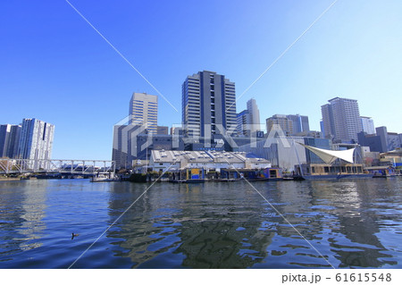 天王洲アイル 周辺 風景 天王洲アイル 周辺 風景 61615548
