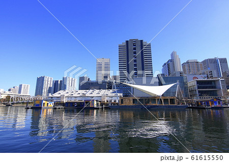 天王洲アイル 周辺 風景 天王洲アイル 周辺 風景 61615550