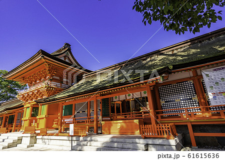 宇佐神宮　上宮　南中楼門　大分県宇佐市 61615636