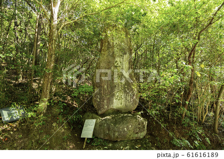 宇佐神宮　和気公之碑　大分県宇佐市 61616189