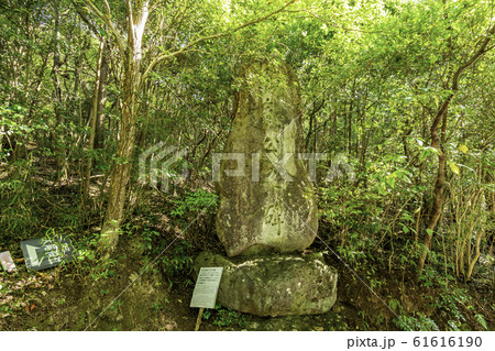 宇佐神宮　和気公之碑　大分県宇佐市 61616190