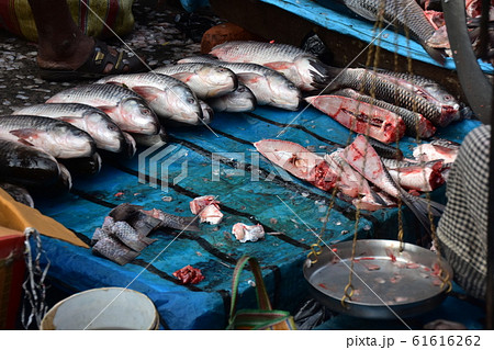 インドのコルカタの市場 新鮮な魚を販売する屋台 インドのコルカタの市場 新鮮な魚を販売する屋台 61616262