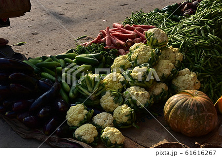 インドのコルカタの市場　種類豊富で新鮮な野菜を販売する八百屋 61616267