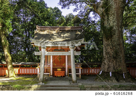 宇佐神宮　八坂神社　大分県宇佐市 61616268