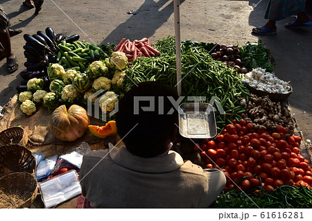 インドのコルカタの市場 種類豊富で新鮮な野菜を販売する八百屋 秤を使い仕事をするインド人店主 インドのコルカタの市場 種類豊富で新鮮な野菜を販売する八百屋 秤を使い仕事をするインド人店主 61616281