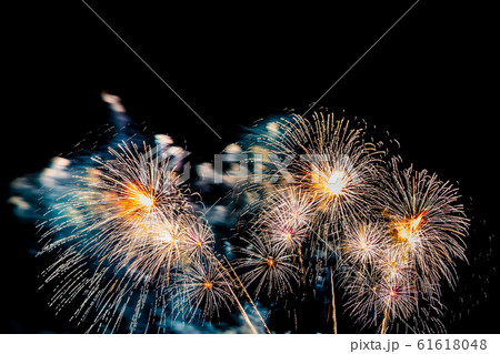 Beautiful colorful firework display at night for celebrate 61618048
