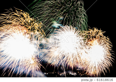 Beautiful colorful firework display at night for celebrate Beautiful colorful firework display at night for celebrate 61618616