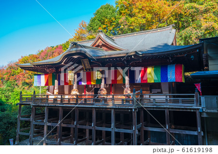 京都　狸谷山不動院（たぬきだにさんふどういん）の本堂と紅葉　　　 61619198