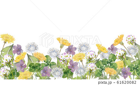 春の野　タンポポ、クローバー、スミレ 61620082