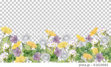 春の野　タンポポ、クローバー、スミレ 61620082