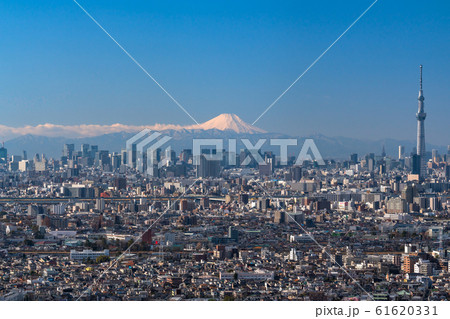 《東京都》東京都市風景・富士山とスカイツリー 61620331