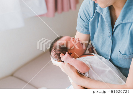 Day 10 生後10日 Day 10 生後10日 61620725