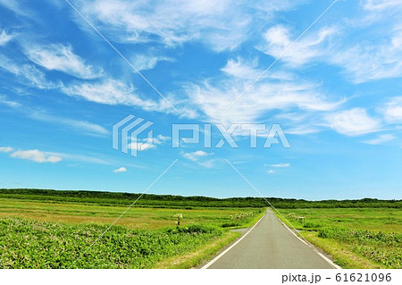北海道 夏の青空と一本道 北海道 夏の青空と一本道 61621096