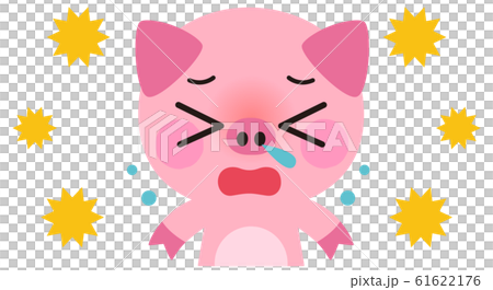 くしゃみをするブタ くしゃみをするブタ 61622176