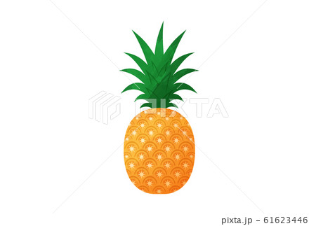 パイナップル パイナップル 61623446
