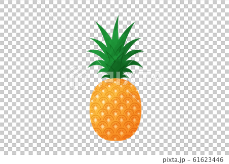 パイナップル パイナップル 61623446