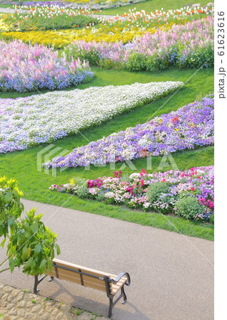 花畑 花畑 61623616