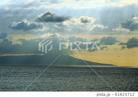 朝の大島 朝の大島 61623712