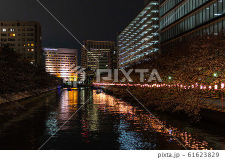 門前仲町 夜桜 門前仲町 夜桜 61623829