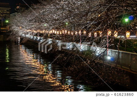 門前仲町 夜桜 門前仲町 夜桜 61623860