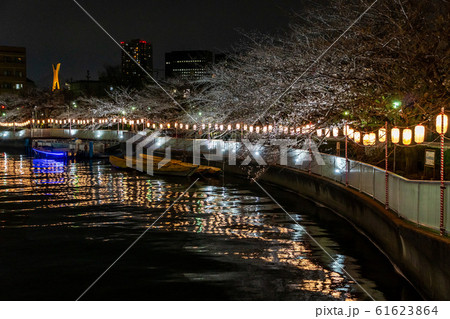 門前仲町 夜桜 門前仲町 夜桜 61623864