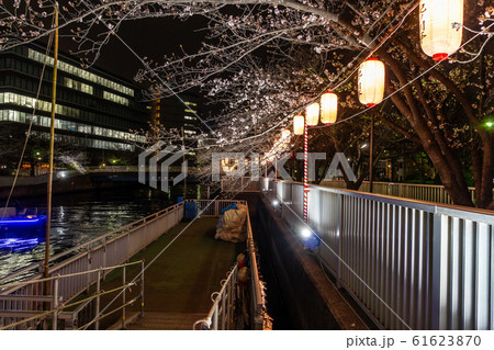 門前仲町　夜桜 61623870
